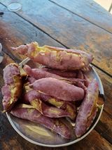 팜모닝 고구마·자유게시판 게시글 이미지