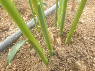 지대식님의 자유주제 · 자유게시판 작성글 사진