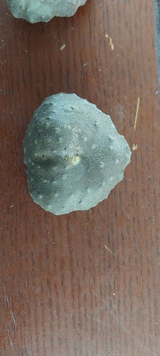 정진해님의 기타작물 · 자유게시판 작성글 사진