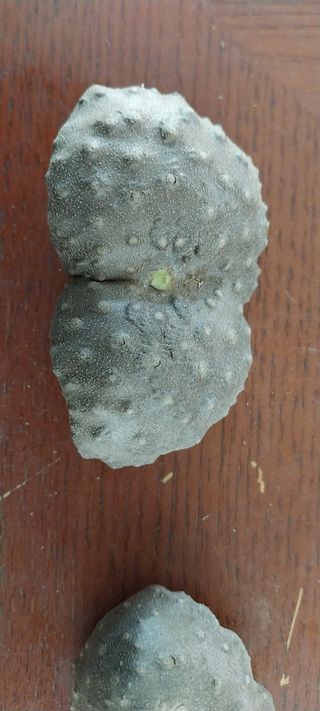 정진해님의 기타작물 · 자유게시판 작성글 사진