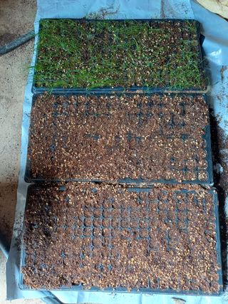 이철우님의 파 · 자유게시판 작성글 사진