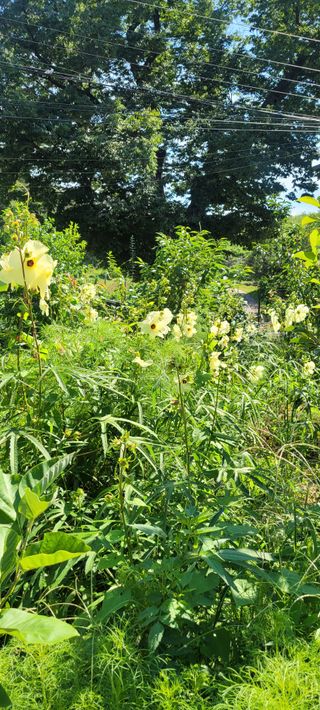 소데카님의 자유주제 · 자유게시판 작성글 사진
