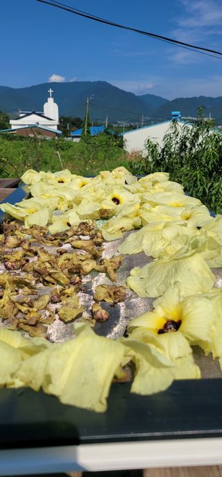 소데카님의 자유주제 · 자유게시판 작성글 사진