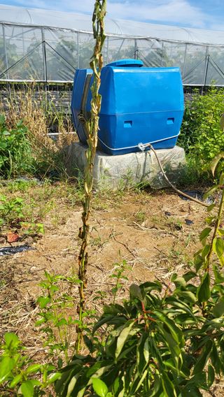 이종선님의 팜모닝 병해충 연구회 · 병해충상담 작성글 사진