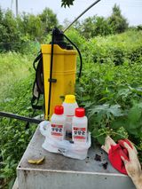 팜모닝 참깨·영농일지 게시글 이미지