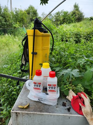 박병한님의 참깨 · 영농일지 작성글 사진