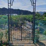 팜모닝 O학년 △반 이세요?·참여글 게시글 이미지