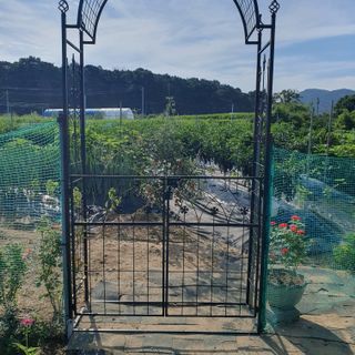 이연희님의 O학년 △반 이세요? · 참여글 작성글 사진