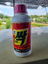 팜모닝 고추·영농일지 게시글 이미지