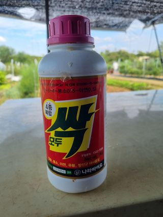 김한수님의 고추 · 영농일지 작성글 사진