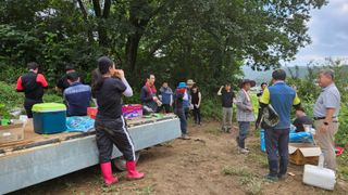 안나농부님의 배추 · 파종•정식 작성글 사진