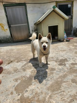 광산김님의 기타작물 · 병해충상담 작성글 사진