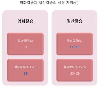 김중언님의 배추 · 파종•정식 작성글 사진