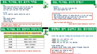 김중언님의 배추 · 파종•정식 작성글 사진