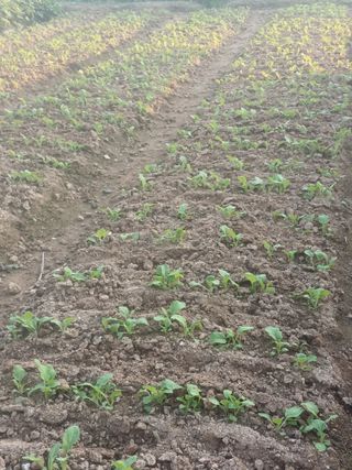 hoonkoo님의 기타작물 · 자유게시판 작성글 사진