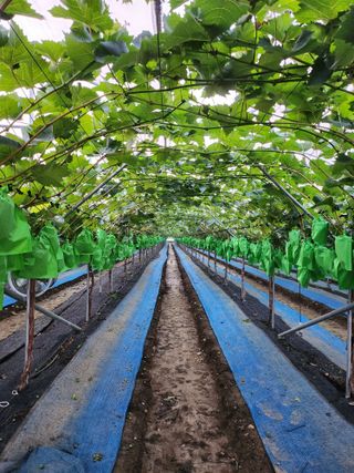 아침햇살님의 O학년 △반 이세요? · 참여글 작성글 사진