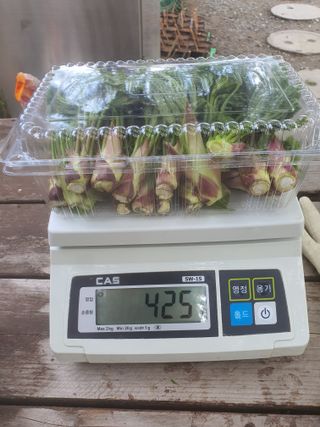 나는 나님의 O학년 △반 이세요? · 참여글 작성글 사진