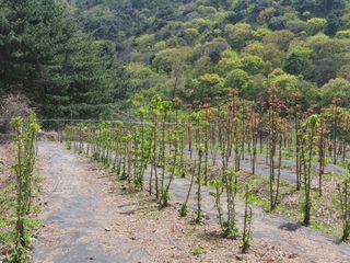 나는 나님의 O학년 △반 이세요? · 참여글 작성글 사진