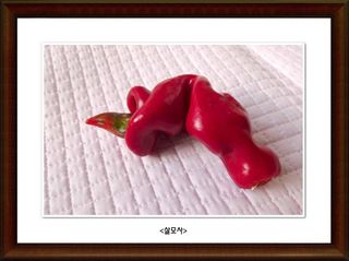 정진해님의 자유주제 · 사진전 작성글 사진