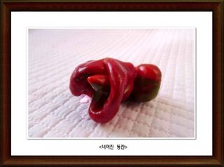 정진해님의 자유주제 · 사진전 작성글 사진