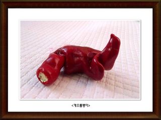 정진해님의 자유주제 · 사진전 작성글 사진