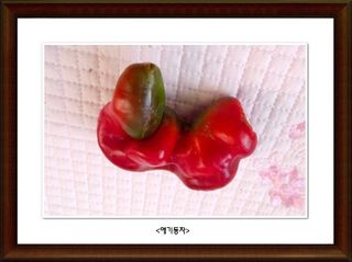 정진해님의 자유주제 · 사진전 작성글 사진