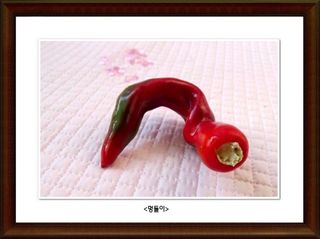 정진해님의 자유주제 · 사진전 작성글 사진