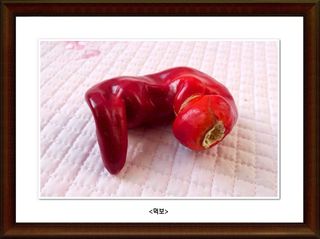 정진해님의 자유주제 · 사진전 작성글 사진