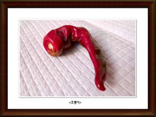 정진해님의 자유주제 · 사진전 작성글 사진