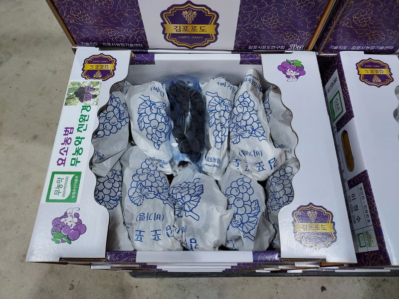 태일농산이정수님의 장터 판매 상품 [켐벨어리 포도 3kg] 첨부 사진