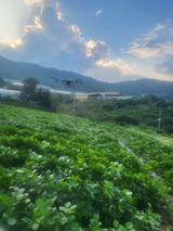 팜모닝 O학년 △반 이세요?·참여글 게시글 이미지