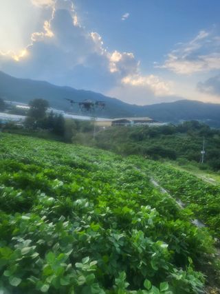 송실농장님의 O학년 △반 이세요? · 참여글 작성글 사진