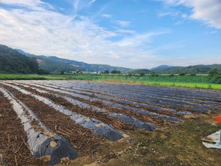 HYUN님의 기타작물 · 영농일지 작성글 사진