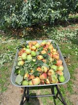 팜모닝 O학년 △반 이세요?·참여글 게시글 이미지