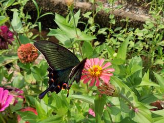 유병욱님의 자유주제 · 자유게시판 작성글 사진