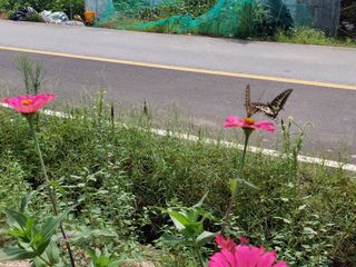 유병욱님의 자유주제 · 자유게시판 작성글 사진