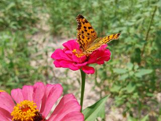 유병욱님의 자유주제 · 자유게시판 작성글 사진