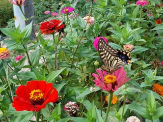 유병욱님의 자유주제 · 자유게시판 작성글 사진