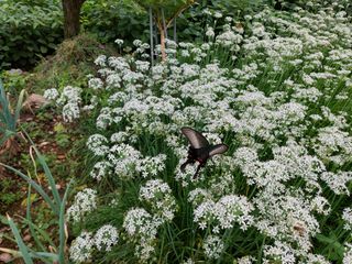 유병욱님의 자유주제 · 자유게시판 작성글 사진