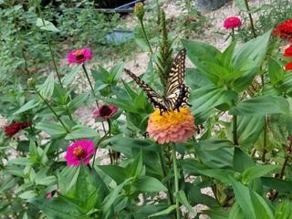 유병욱님의 자유주제 · 자유게시판 작성글 사진