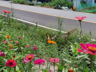 유병욱님의 자유주제 · 자유게시판 작성글 사진