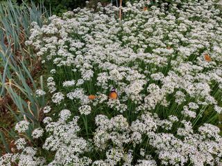 유병욱님의 자유주제 · 자유게시판 작성글 사진