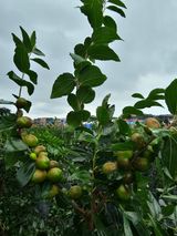 팜모닝 자유주제·자유게시판 게시글 이미지