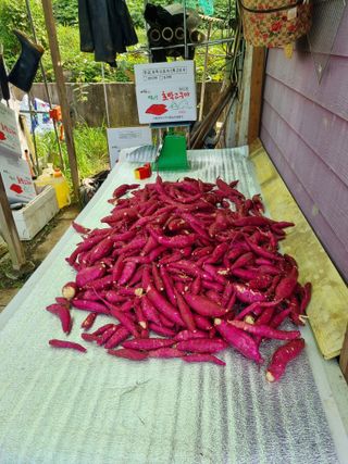 잔디밭이좋다님의 O학년 △반 이세요? · 참여글 작성글 사진