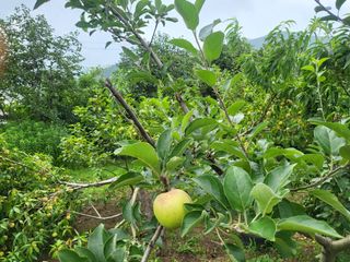 한&균님의 O학년 △반 이세요? · 참여글 작성글 사진