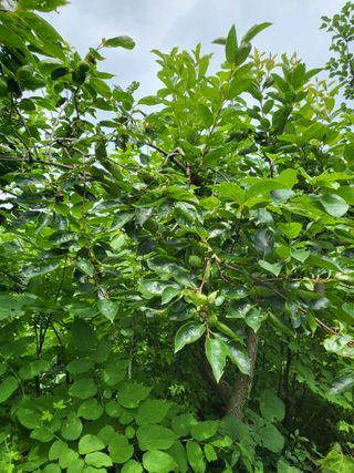 한&균님의 O학년 △반 이세요? · 참여글 작성글 사진