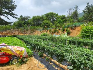 한&균님의 O학년 △반 이세요? · 참여글 작성글 사진