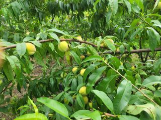 한&균님의 O학년 △반 이세요? · 참여글 작성글 사진