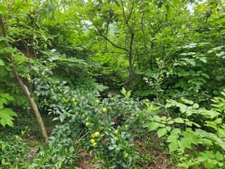 한&균님의 O학년 △반 이세요? · 참여글 작성글 사진