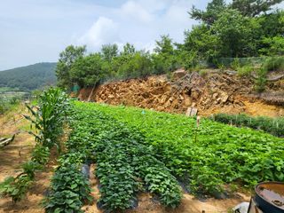 한&균님의 O학년 △반 이세요? · 참여글 작성글 사진